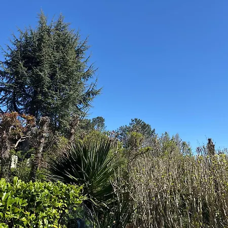 Apartment Jardin Rdc 900 M Des Thermes! Cazaubon